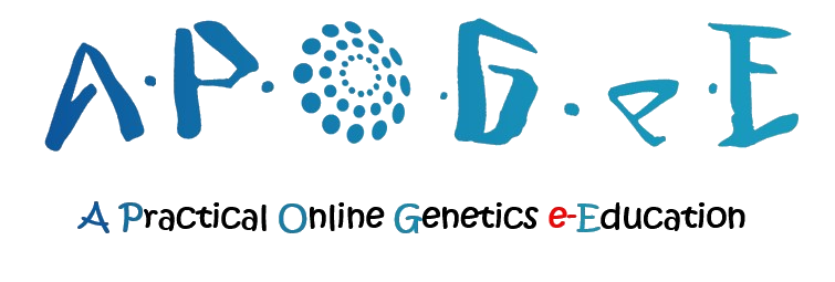 e online logo png